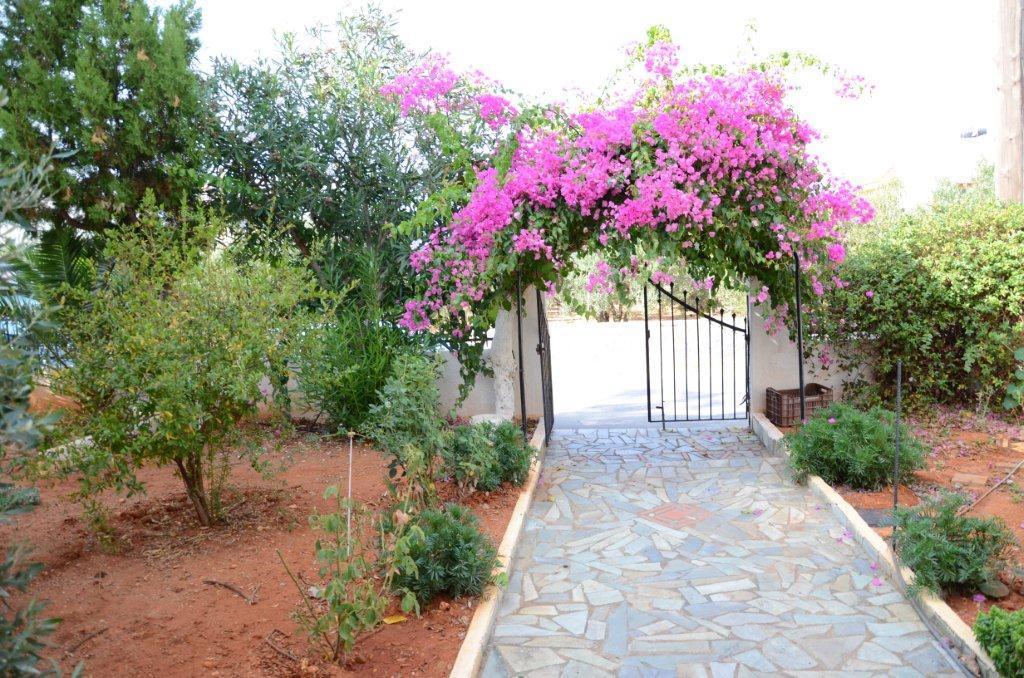 Alex Home Apartments Hersonissos  Exterior foto